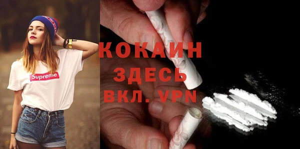 мдма Новодвинск
