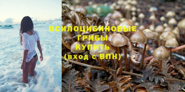 спиды Алексин
